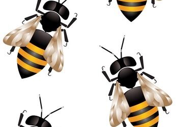 Du venin d’abeille contre le VIH