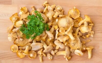 Les champignons source de vitamine D ?
