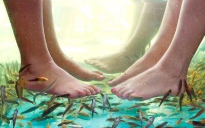 La fish pédicure est elle dangereuse ?