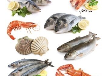 Alerte et danger sur les poissons gras chez la femme enceinte