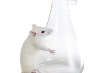 La fin des tests sur les animaux ?