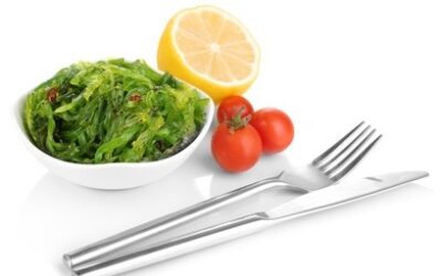 Les bienfaits des algues alimentaires et leurs propriétés