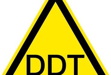 Maladie d’Alzheimer : l’insecticide DDT mis en cause