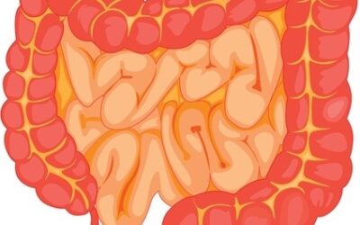 Le cancer du colon va devenir détectable par l’analyse des selles.