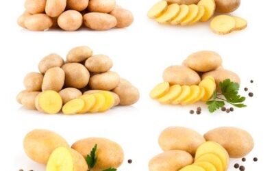 Manger régulièrement des pommes de terre augmente le risque de diabète