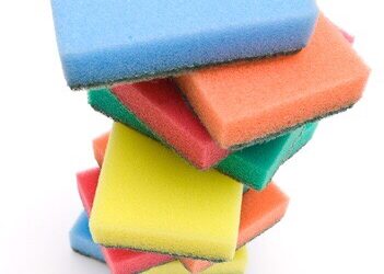 Éponges de cuisine, 73 familles de bactéries identifiées