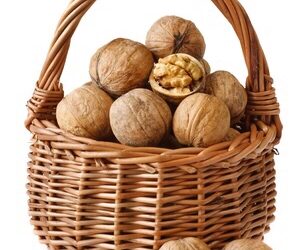Manger des noix aide au régime